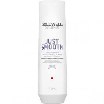 Goldwell Dualsenses Just Smooth Shampoo 250ml