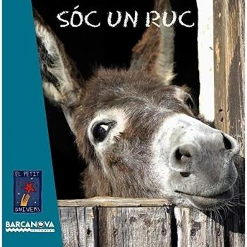 Soc un ruc