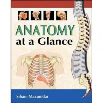 Anatomy at a Glance