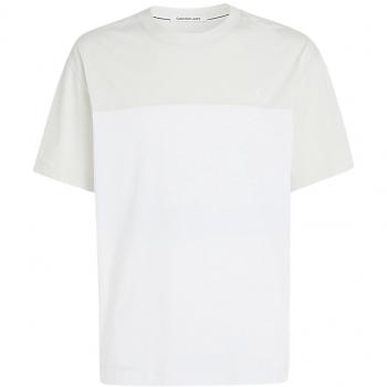 Calvin Klein Modern Colorblock T-shirt, White male, Size: M