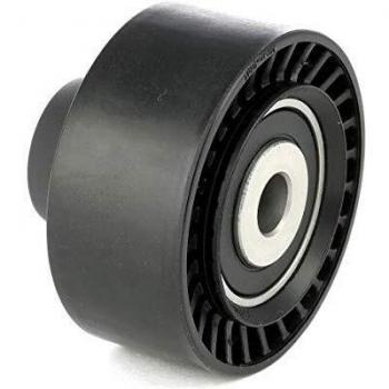 Ridex 312D0080 - Polea de inversión para correa trapezoidal