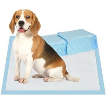 Empapadores para Perros PawHut 80 Unidades 60x60 cm Diseño de 6 Capas con Superficie de Secado Rápido y a Prueba de Fugas Azul