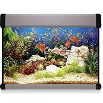 ICA KXP68P Kit Aqua Lux Pro 68 con Filtro Interior, Plata