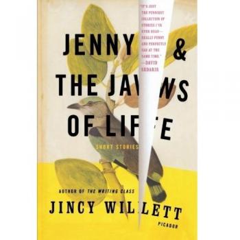 Jenny and the Jaws of Life: Short Stories Collection by Jincy Willett