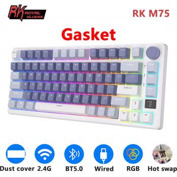 Royal Kludge RKM75 Wireless Mechanical Keyboard - 75% RGB Hot-Swappable with OLED Display and Silver Switch
