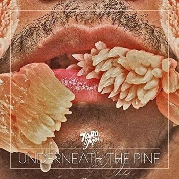 Toro Y Moi Underneath The Pine 2011 USA vinyl LP CAK59
