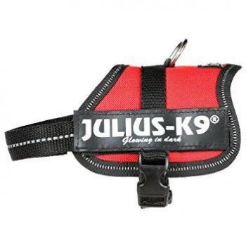 Julius-K9, 162R-BB2, K9-Powerharness, dog harness, Size: Baby 2, Red