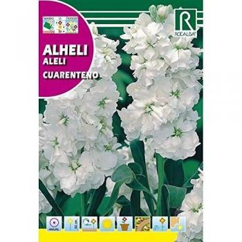 Bulbo Freesia doble Blanco
