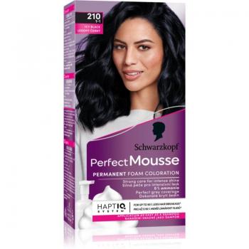 Schwarzkopf Perfect Mousse Permanent Hair Dye 210 Icy Black 2x35 ml