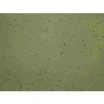 Bravissima Kitchen S0105019 Plato, Porcelain, Multicolor