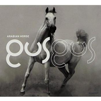 ARABIAN HORSE