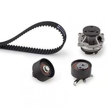 Gates Powergrip WPK