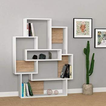 Homitis Bookshelf