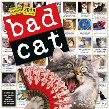 2019 Bad Cat Wall Calendar