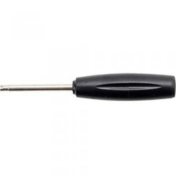 Destornillador Dinamométrico BGS para Válvulas 0,25 Nm – 1550