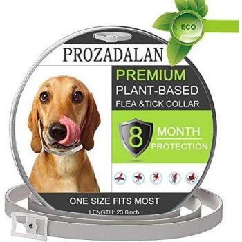 PROZADALAN Collar Antiparasitario para Perros, Impermeable, Diseño Impermeable y 8 Meses, Eficaz, Natural para Pequeños Animales Domésticos de Tamaño Mediano