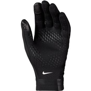 Nike Academy Therma-FIT Gloves