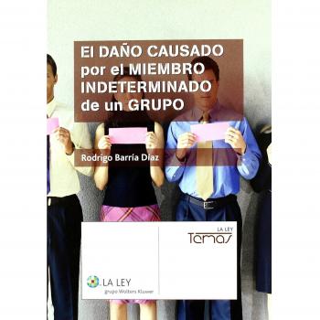 El daño causado por el miembro indeterminado de un grupo