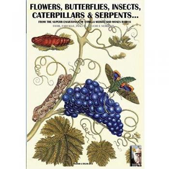 Libro de Grabados: Flores, Mariposas, Insectos, Orugas y Serpientes de Sybilla Merian y Moses Hariss