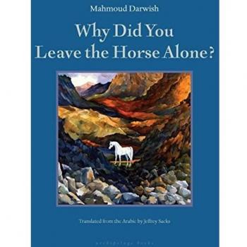 Why Did You Leave the Horse Alone