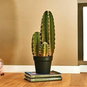 Cactus Artificial Organo 64 CM