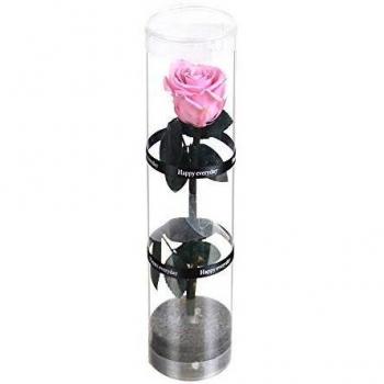 Dewanxin Rosa Eterna,Rosa Natural Preservada,para Decoración del Hogar Boda San Valentín Día de la Madre Navidad Aniversario Cumpleaños - Roja