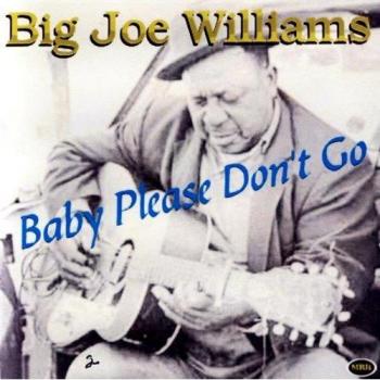 Baby, Please Don't Go