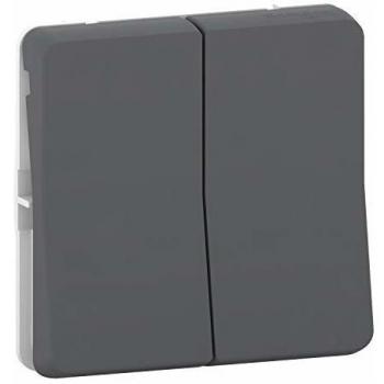 Schneider Electric MUR35019 - Doble conmutador gris