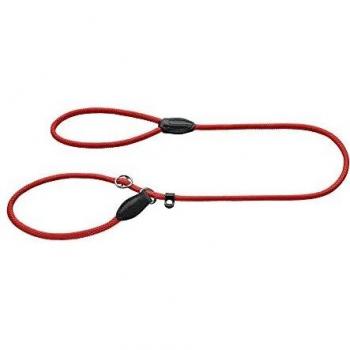 HUNTER - Correa Freestyle para Retriever con Collar Integrado, Robusta y Resistente a la Intemperie