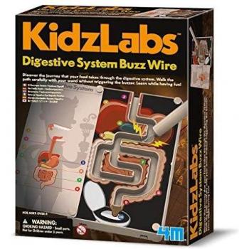 4M 403386 Digestive System Buzz Wire