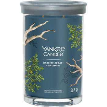 Yankee Candle Large Tumbler Signature Scented Candle - Bayside Cedar 567g