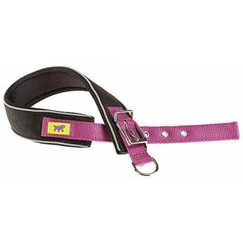 Collar para Perro Daytona Comfort 40 mm 45 cm color Púrpura
