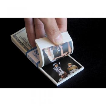 10000 Dollar Flip Book