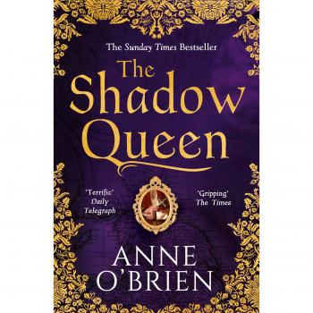 Libro The Shadow Queen - Novela de fantasía, autor: C.J. Redwine, formato tapa dura, 368 páginas, trama basada en cuentos de hadas, elementos de aventura y romance, protagonizada por una joven guerrera