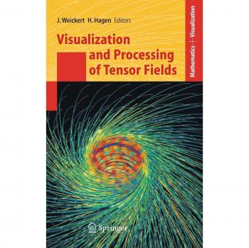 Tensor Field Visualization and Processing: Dagstuhl Workshop Proceedings (Mathematics and Visualization)