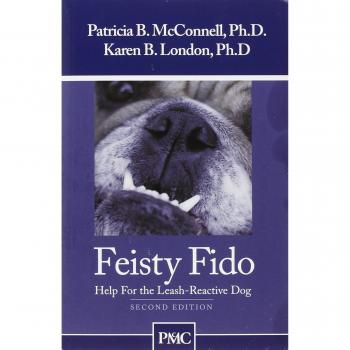 Feisty Fido: Help for the Leash-Reactive Dog
