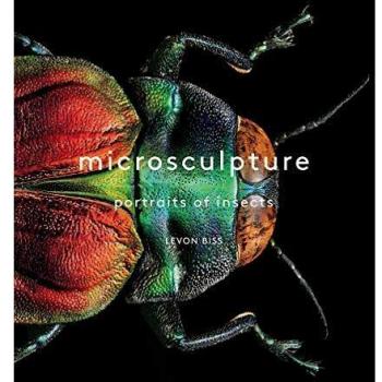 Microsculpture: Portraits of Insects