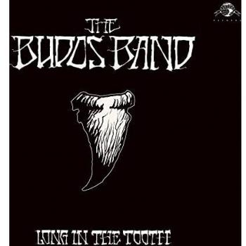 Long In The Tooth [Vinilo
