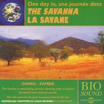 One Day In the Savanna