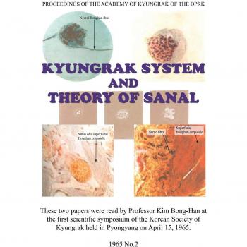Sistema Kyungrak y Teoría de Sanal por Kim Bong-Han