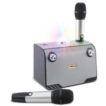 Altavoz Karaoke Inalámbrico Bluetooth 714386 Portátil con 2 Micrófonos Plateado