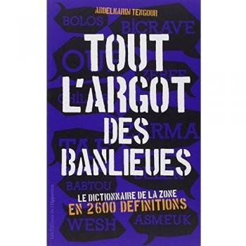 Tout l'argot des banlieues: Le dictionnaire de la zone en 2 600 définitions