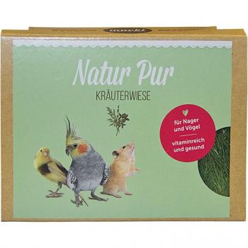Maceta de plantas silvestres Mucki para pájaros - 2 x Erva do prado con soporte