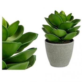 Planta Decorativa Gris Verde (16 x 21 x 16 cm) (6 Unidades)