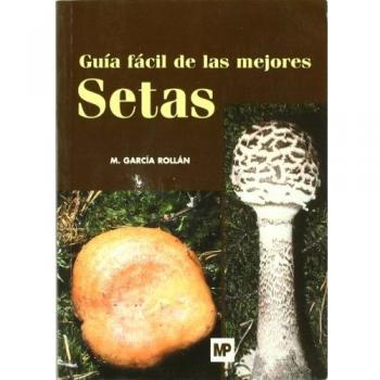 Guía fácil de las mejores setas