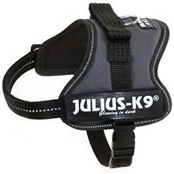 Arnés para Perro Julius-K9 Powergeschirr Baby 1–Mini, Talla XS/Mini-Mini, Ajustable 40-53 cm, Color Antracita
