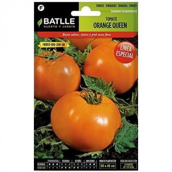 Tomate Orange Queen