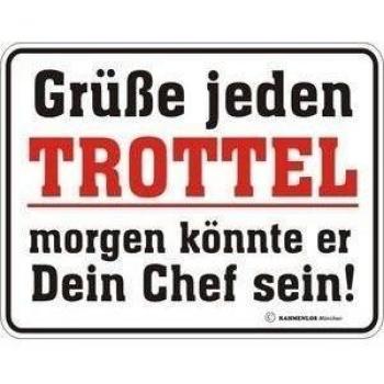 0487. Cartel Deko RS grüße Cualquier trottel.... S