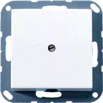 Placa Central A500 con Salida de Cable en Blanco Alpino JUNG 310154010