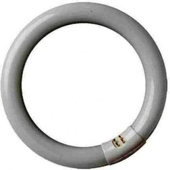 Evila - Tubo fluorescente circular t9 trifosforo 32w g1